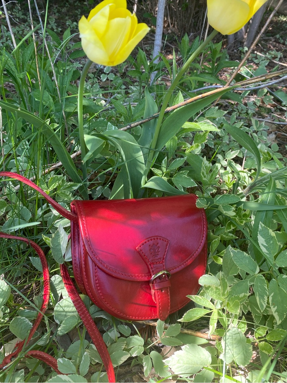 FIRENZE genuine leather made in Italy red crossbody purse